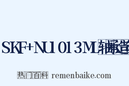 SKF+NU1013ML轴承造句是什么意思的图片